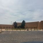 خانه شوکت سعیدی