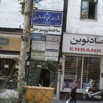 حیات برتر