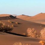 کویر اردکان (سیاه کوه)