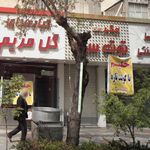 جگرسرای توت سرخ