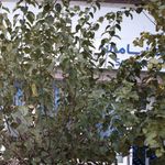 بانک رفاه شعبه چهارراه ولیعصر