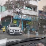 قنادی شاخه نبات
