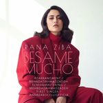 آموزش صداسازی و آواز رعنا زیبا