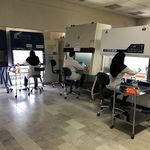 آزمايشگاه كشت بافت