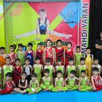 باشگاه ورزشی مهدی یاران