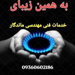 عبدالناصر سبزیان ملایی