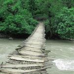 پارک جنگلی سفید آب