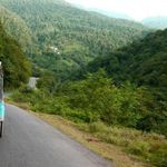 پارک جنگلی سفید آب