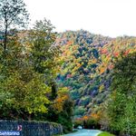 پارک جنگلی سفید آب