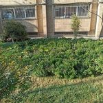 ایستگاه اتوبوس شهرداری