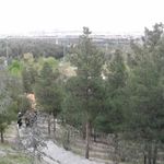 بوستان علوی