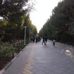بوستان علوی