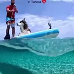 آژانس هواپیمایی ادنا پرواز - قطار نداریم