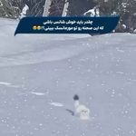 آژانس هواپیمایی ادنا پرواز - قطار نداریم