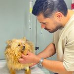 کلینیک دامپزشکی دکتر ضیاالدینی