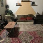 بوم گردی نارچینه