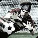 آکادمی فوق تخصصی دروازه بانی  پرنده آبی