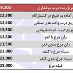 خدمات تخصصی کوتاهی مو (هیرکات)