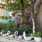 مجتمع غیردولتی مهدیه