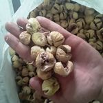 پارس انجیر