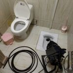 مسعود امامی