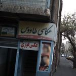 عکاسی طاووس