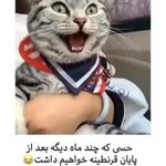 پرشین تیونینگ اصفهان