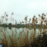 ساحل رامدشت