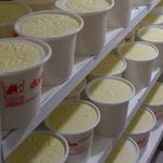 لبنیاتی صابری