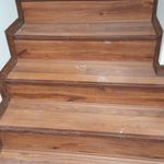 سیدشهاب الدین مصطفوی اردبیلی