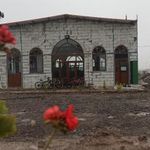 مسجد امام علی علیه السلام شهرک فرهیختگان