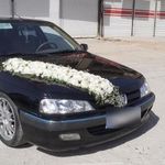 گل فروشی باران
