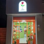 کیفدونی تندیس