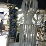 ظروف کرایه قیصری