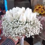 گل فروشی باران