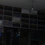 گل فروشی ارکیده
