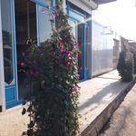 فرش فروشی و پرداخت زنی بابایی