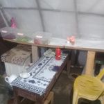 فلافلی رهگذر(فرشاد