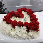 گل و گیاه نیری