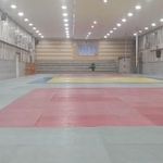 آکادمی جودو بیرقی
