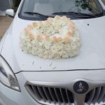گل و گیاه نیری