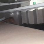 بسته بندی،باربری،وانت بار اکبر شاه محمدی