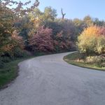 اقامتگاه بومگردی بابا عباس