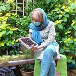 متخصص روانشناس، میترا رستمی