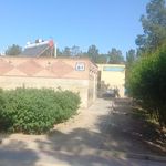 سرویس بهداشتی