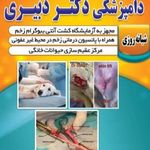 کلینیک دامپزشکی پوست و  چشم دکتر دبیری