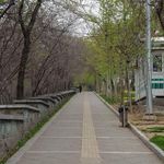 بوستان قیطریه