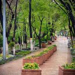 بوستان قیطریه