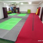 باشگاه ژیمناستیک آریایی