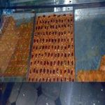 قنادی شهرما